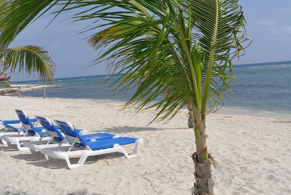 キャストアウェイ ケイマンビーチ リゾート Grand Cayman エクステリア 写真
